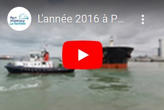 lannee 2016