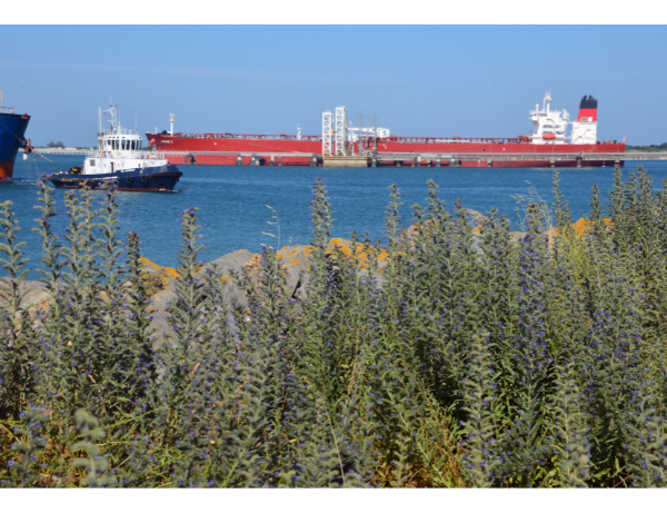 green marine europe