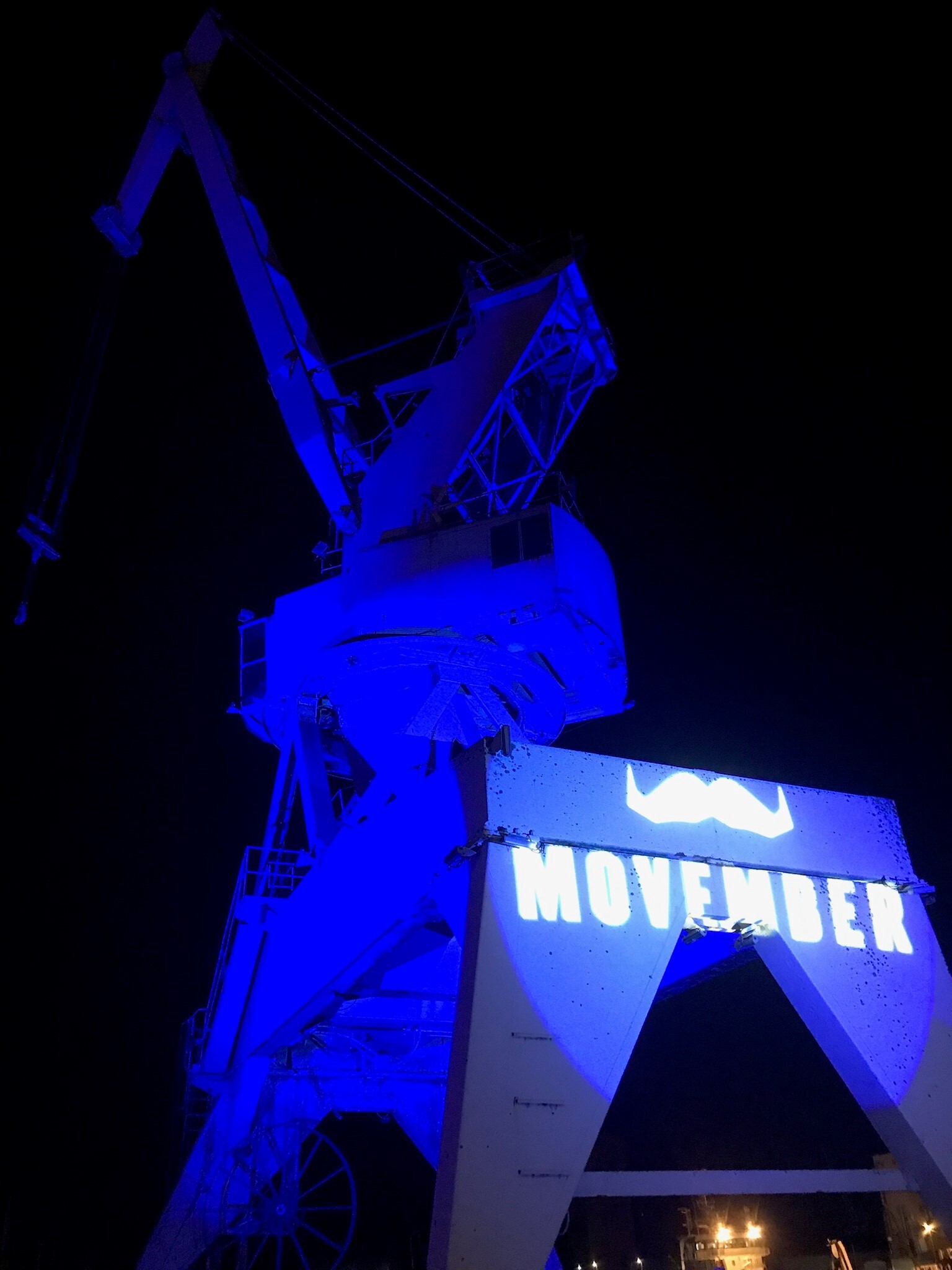 Grue N7 Movember