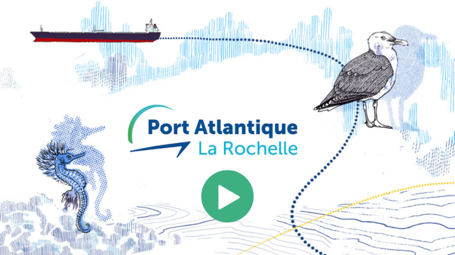 miniature voeux 2026