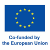 logo europe 100