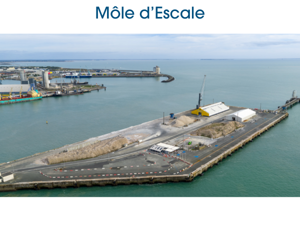 Mole